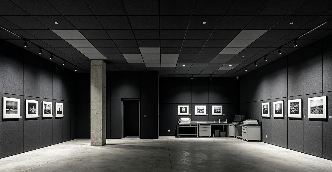 film photography gallery acoustics
