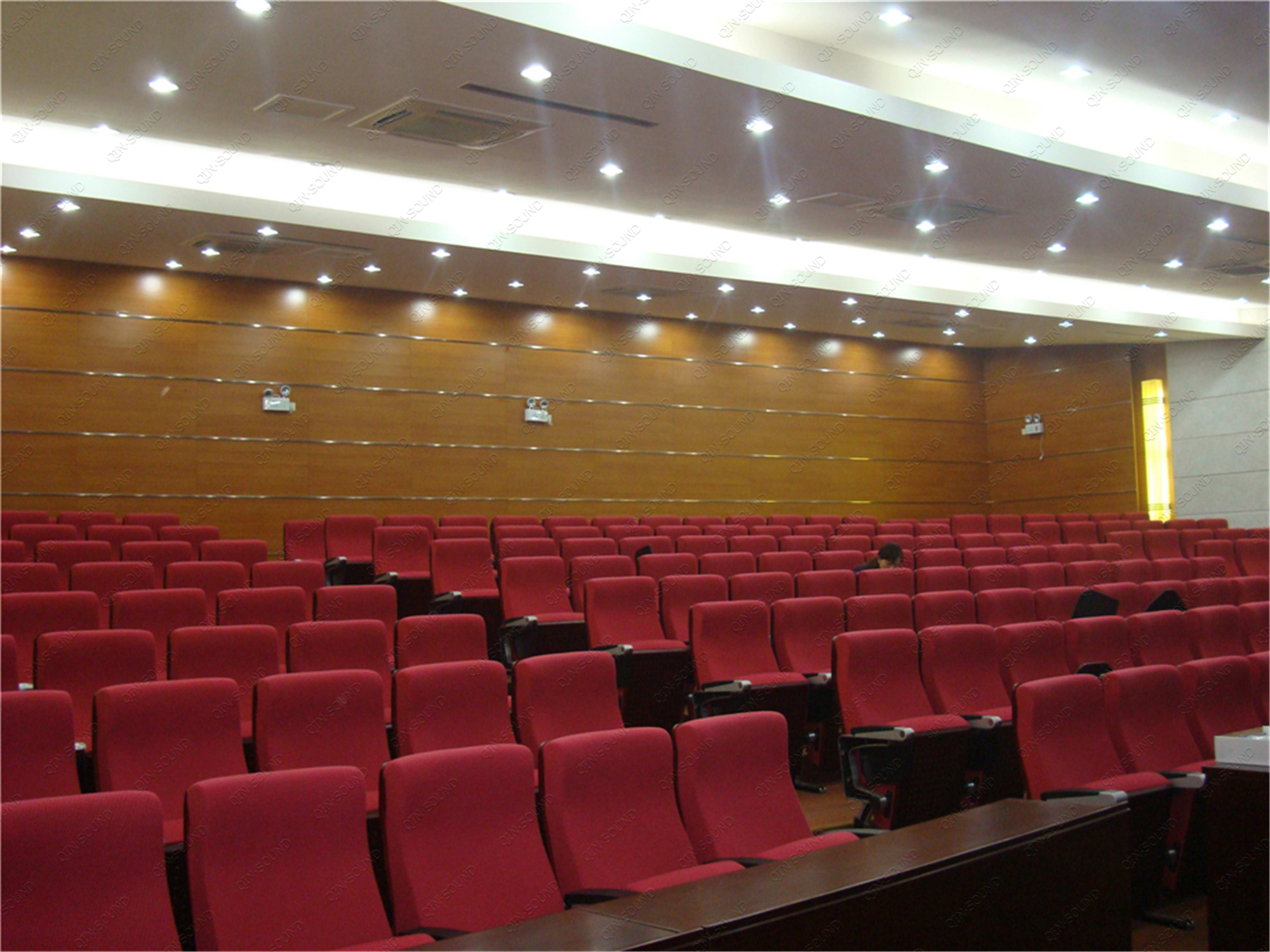 Auditorium Acoustic Wall Panels 